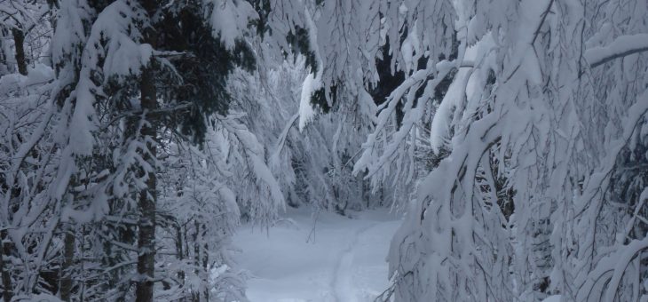 12 décembre: première « hivernale »