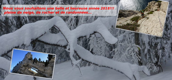 Bonne année 2018