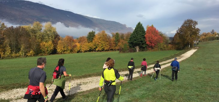 Marche Nordique: quelques photos