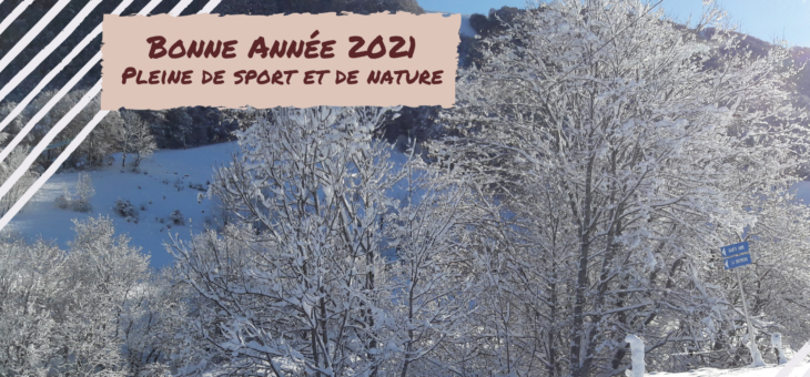 Bonne année 2021