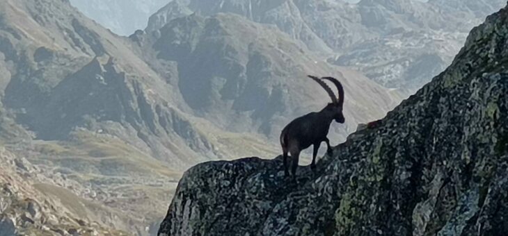 Alpi – Arrête rocheuse dans les cerces